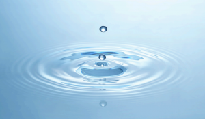 Focusing on one thing leads to business progress